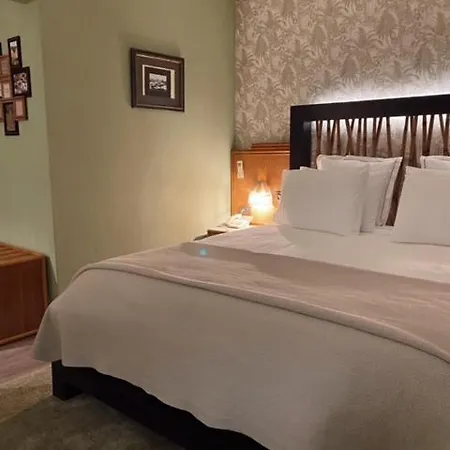 Lusitano Vilar Formoso