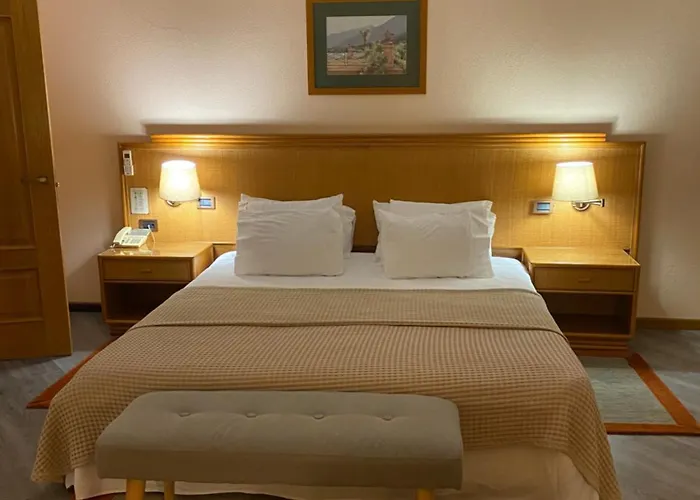 Lusitano Vilar Formoso