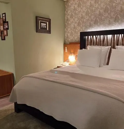 Lusitano Vilar Formoso