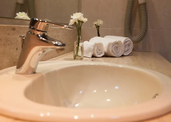 Lusitano Vilar Formoso