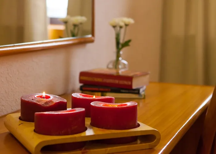 Lusitano Vilar Formoso